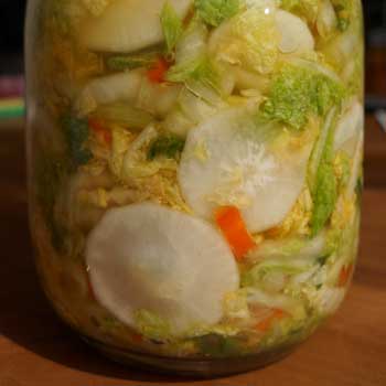 Lacto-fermentation